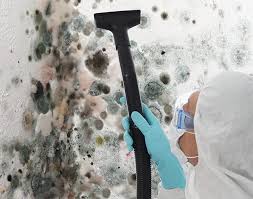 Why You Should Choose Our Mold Remediation Services in Olivette, MO